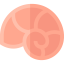 Biology icon 64x64